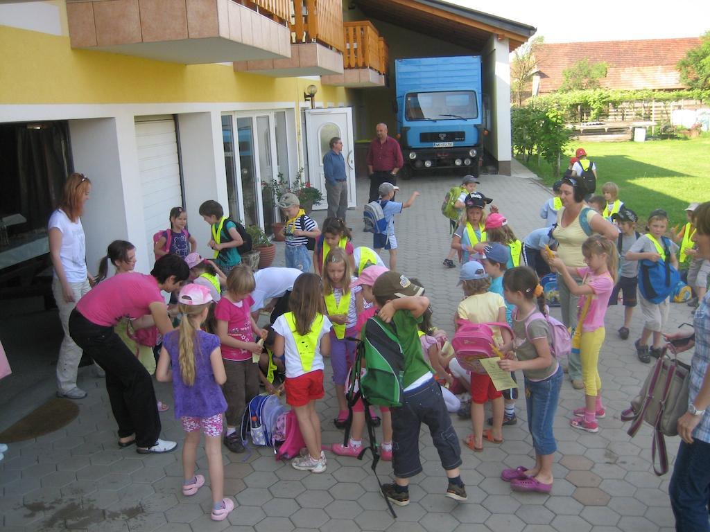 Tourist Farm Salamun Vila Banovci Exterior foto