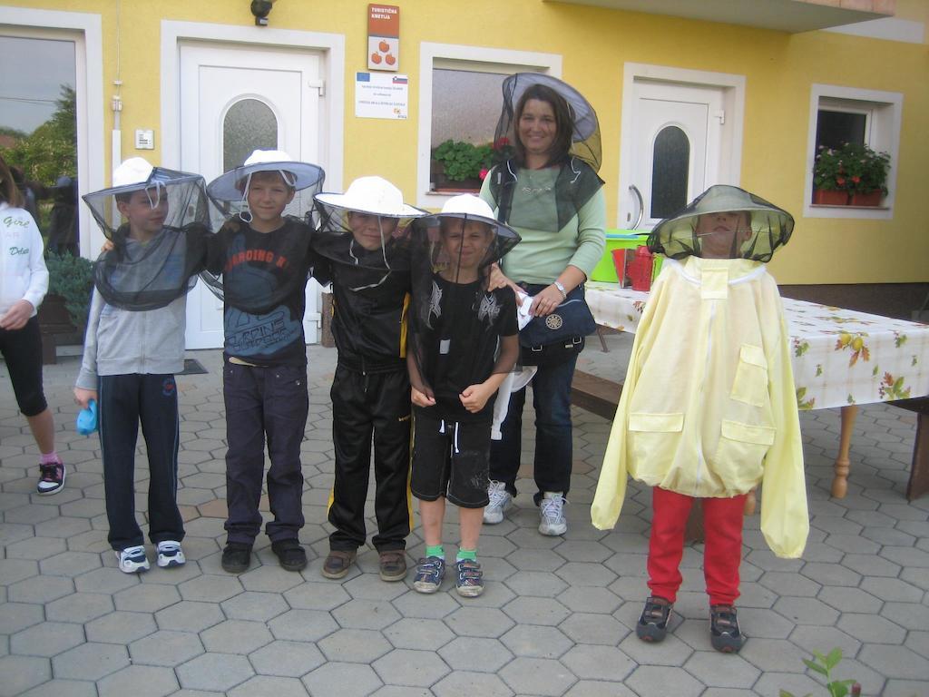 Tourist Farm Salamun Vila Banovci Exterior foto