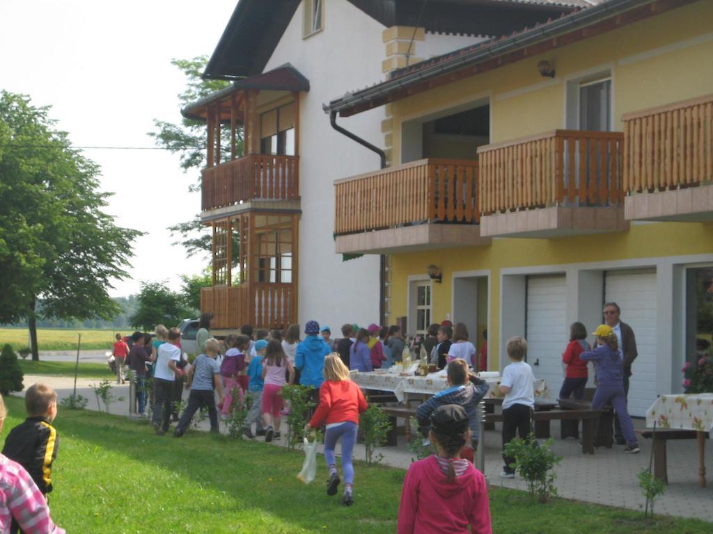 Tourist Farm Salamun Vila Banovci Exterior foto