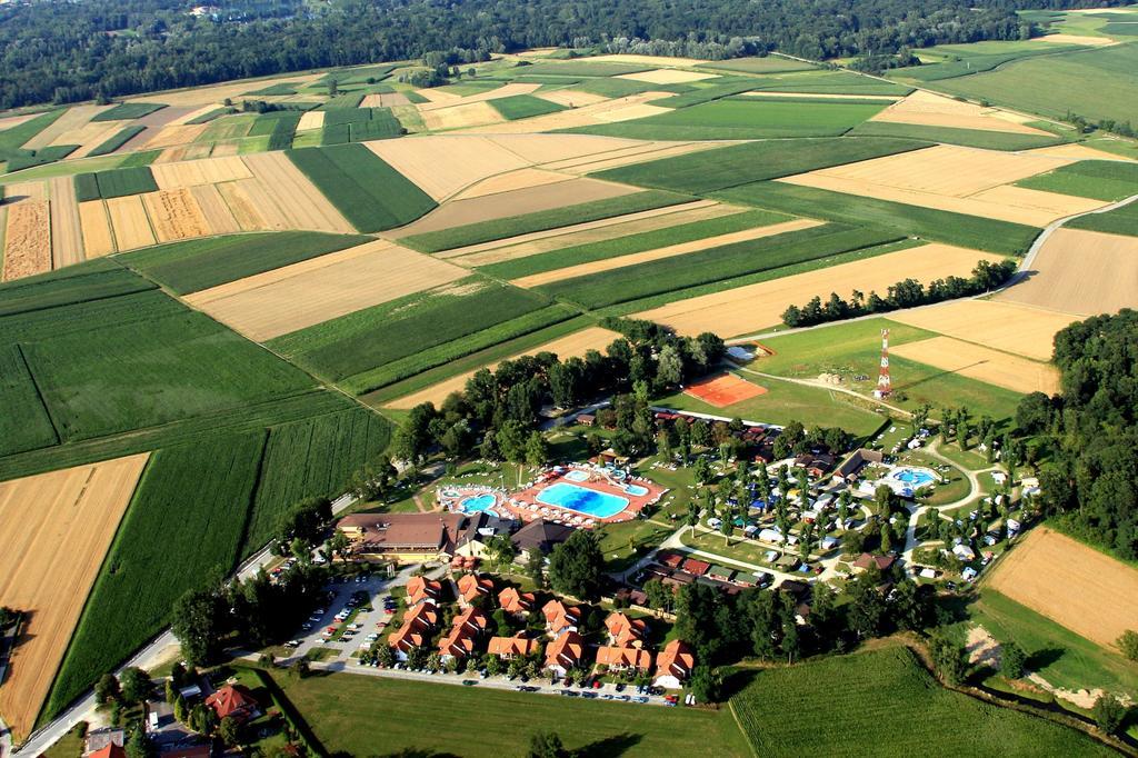 Tourist Farm Salamun Vila Banovci Exterior foto