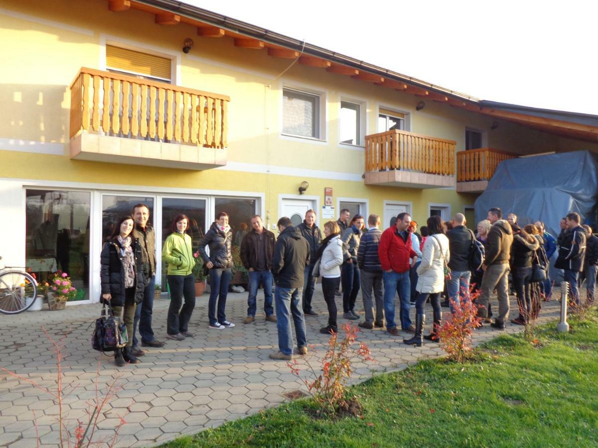 Tourist Farm Salamun Vila Banovci Exterior foto