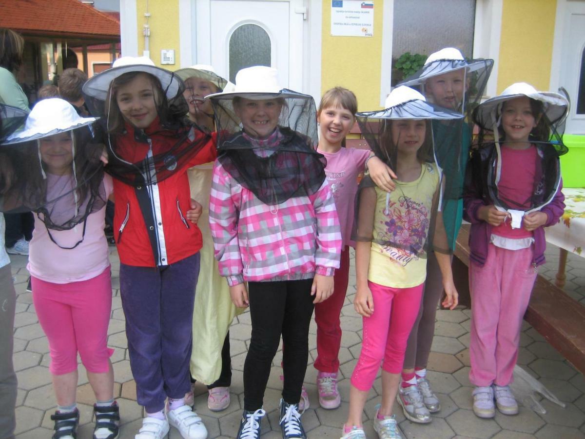 Tourist Farm Salamun Vila Banovci Exterior foto